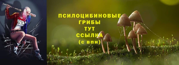 хмурый Алексеевка