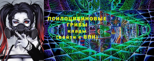 молекула духа Алексин