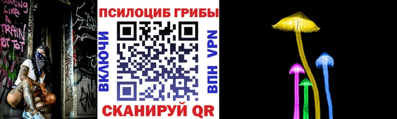 Псилоцибиновые грибы ЛСД  Карачаевск 