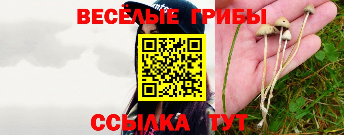Псилоцибиновые грибы прущие грибы Карачаевск